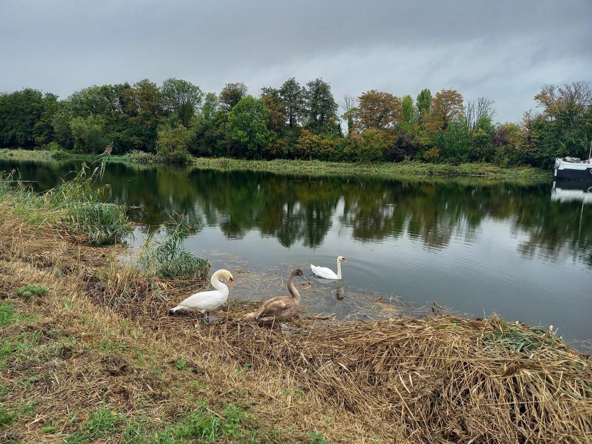 Atypique Independant Sur Peniche